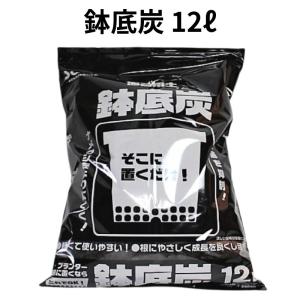 ミリオンA 100g 珪酸塩白土 【メール便送料無料】 ソフトシリカ