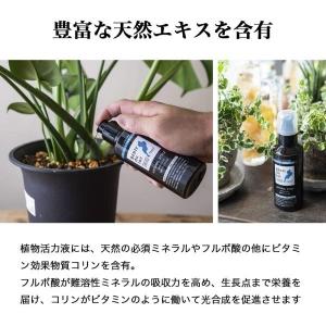 【2本セット】湖の恵 液体プッシュタイプ 30...の詳細画像1