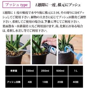 【2本セット】湖の恵 液体プッシュタイプ 30...の詳細画像2