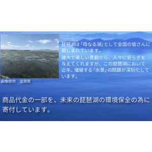 【2本セット】湖の恵 液体プッシュタイプ 30...の詳細画像4