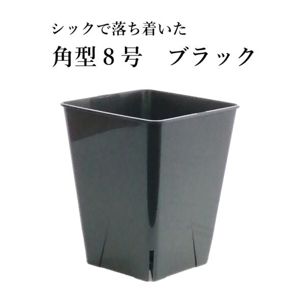 角型 8号スリット鉢（スクエアタイプ）  EG-240L　植木鉢