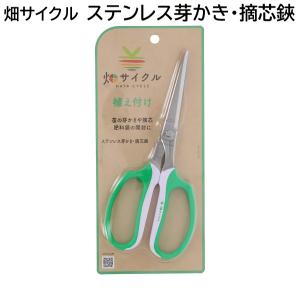ステンレス芽かき・摘芯鋏　レギュラータイプ　【メール便送料無料】　高儀 畑サイクル ハサミ はさみ