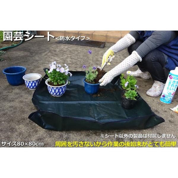 園芸シート 80cm×80cm　【メール便送料無料】 防水タイプ 植え替え用シート ガーデニング用保...