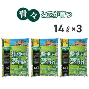 根張りが良くなる 芝の目砂 3袋セット 14L×3 自然応用科学 【送料無料】｜hanamiki