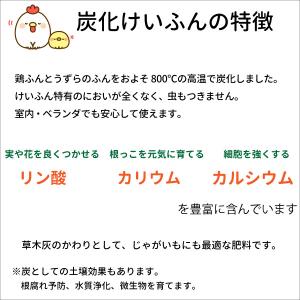 炭化けいふん 約3kg 3袋セット【送料無料】...の詳細画像1