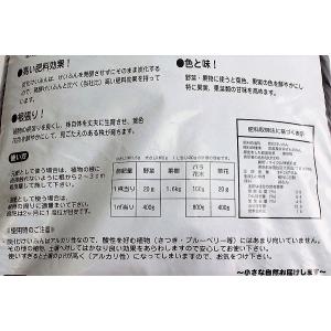 炭化けいふん 約3kg 3袋セット【送料無料】...の詳細画像3