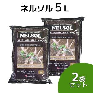 ミリオンA 100g 珪酸塩白土 【メール便送料無料】 ソフトシリカ