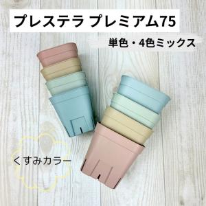 プレステラプレミアム75　1個　2号 スリット鉢