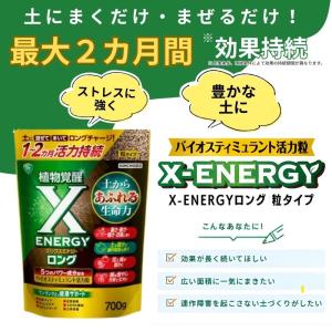 X-ENERGY ロング 粒タイプ 700g ...の詳細画像1