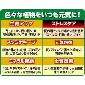 X-ENERGY ロング 粒タイプ 700g ...の詳細画像3