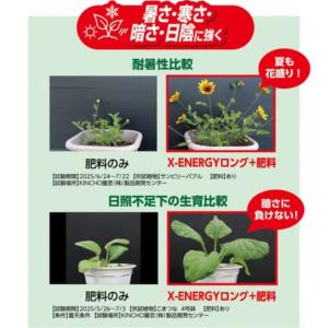 X-ENERGY ロング 粒タイプ 700g ...の詳細画像4
