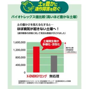 X-ENERGY ロング 粒タイプ 700g ...の詳細画像5