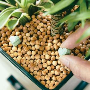 錠剤肥料 観葉植物用 約70錠 ハイポネックスの詳細画像1
