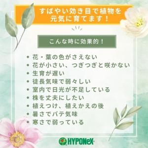 微粉ハイポネックス 200g / ハイポネックスの詳細画像1