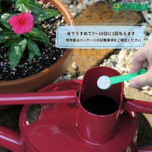 微粉ハイポネックス 200g / ハイポネックスの詳細画像4