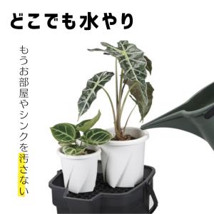 ドレイニングバケツ 10L 水切りトレイ+バケ...の詳細画像1