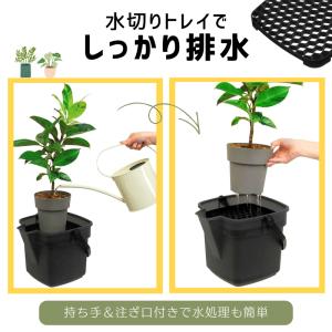 ドレイニングバケツ 10L 水切りトレイ+バケ...の詳細画像3