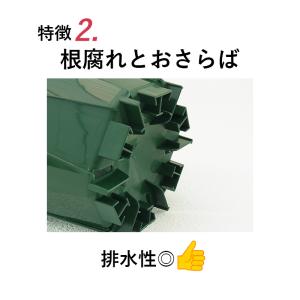 兼弥 6号スリット鉢 懸崖タイプ(グリーン)直...の詳細画像4