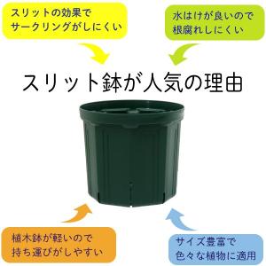 7号スリット鉢 72個入りケース販売【送料無料...の詳細画像2