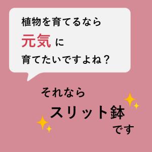 7号スリット鉢(ロングタイプ)直径21cm C...の詳細画像1