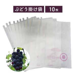 ぶどう専用 ポリ傘 22×22 サシコミ 乳白色 ワンタッチ式 （100枚