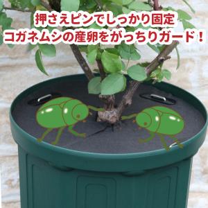 【鉢キャップ コガネガード】直径20cm 1枚...の詳細画像2