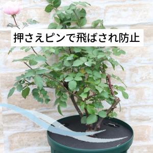 【鉢キャップ コガネガード】直径20cm 1枚...の詳細画像3