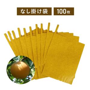 梨二重掛袋 100枚入り【メール便送料無料】 ナシ 掛袋 袋掛