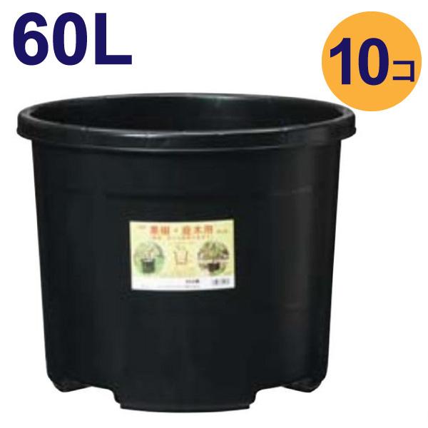 大型 プラ鉢 60リットル鉢　10個入りケース販売　※代引不可　#60　植木鉢　NPポット 直径52...