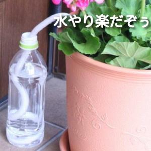 水やり楽だぞぅ 4本入り × 3袋セット【メール便送料無料】自動潅水