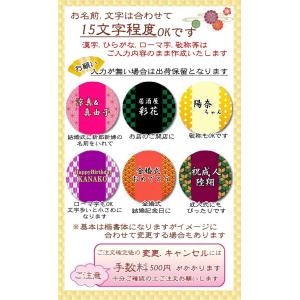 市松模様 麻の葉 亀甲 矢絣 鶴 バルーン フ...の詳細画像3
