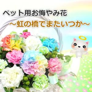 生花 Lサイズ ペット用 お悔やみ花 贈り物 レインボーカーネーション お供え 愛犬 命日 仏花 四十九日 初盆 お盆 法事 供養 法要 アレンジメント