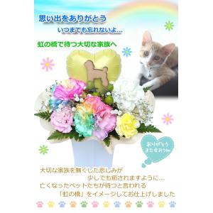 生花 ペット レインボーカーネーション お悔や...の詳細画像1