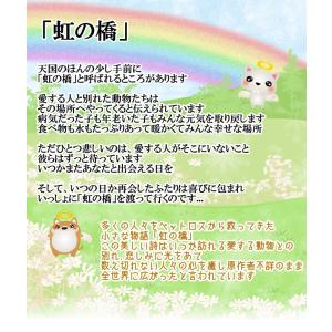 生花 ペット レインボーカーネーション お悔や...の詳細画像2