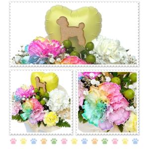 生花 ペット レインボーカーネーション お悔や...の詳細画像3