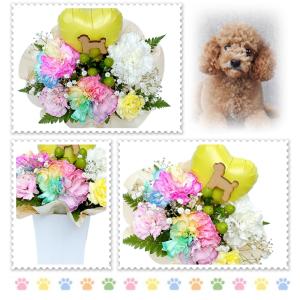 生花 ペット レインボーカーネーション お悔や...の詳細画像4