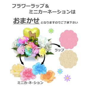 生花 ペット レインボーカーネーション お悔や...の詳細画像5