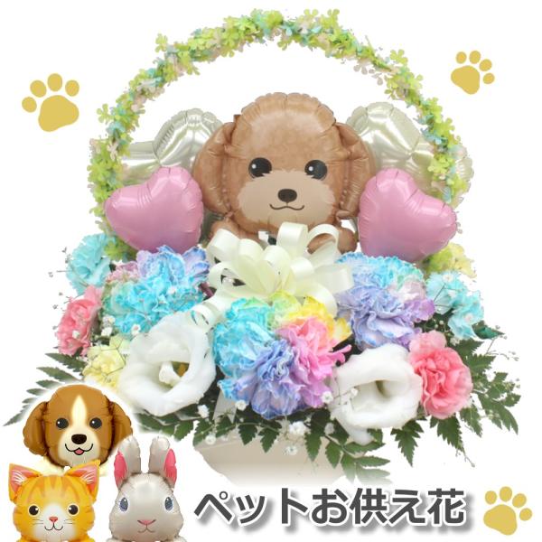 生花 ペット お悔やみ花 贈り物 レインボーカーネーション バルーンギフト お供え 愛犬 猫 命日 ...