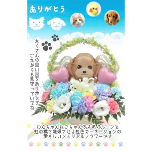 生花 ペット用 お悔やみ花 贈り物 レインボー...の詳細画像3