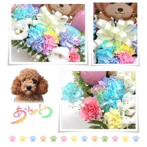 生花 ペット用 お悔やみ花 贈り物 レインボー...の詳細画像4