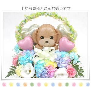 生花 ペット用 お悔やみ花 贈り物 レインボー...の詳細画像5