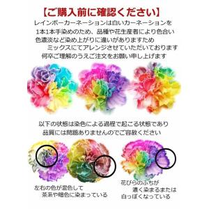 生花 シルエット ペット レインボーカーネーシ...の詳細画像1