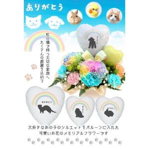 生花 シルエット ペット レインボーカーネーシ...の詳細画像3