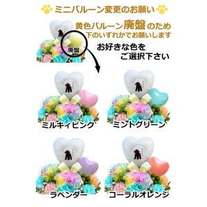 生花 シルエット ペット レインボーカーネーシ...の詳細画像4