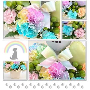 生花 シルエット ペット レインボーカーネーシ...の詳細画像5