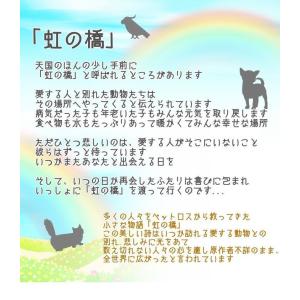 生花 名入れ ペットお供え花 お悔やみ花 御供...の詳細画像5