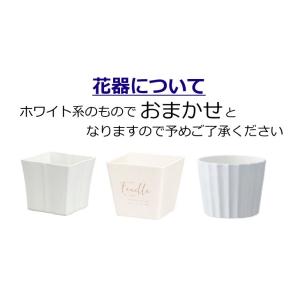 生花 名入れ ペットお供え花 お悔やみ花 御供...の詳細画像2