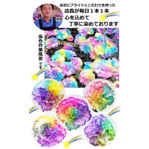 生花 シルエット ペット レインボーカーネーシ...の詳細画像2