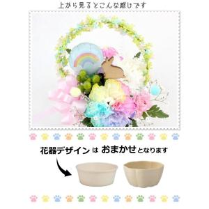 生花 シルエット ペット レインボーカーネーシ...の詳細画像5