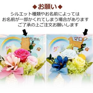 プリザーブドフラワー ドライフラワー ペット用...の詳細画像3